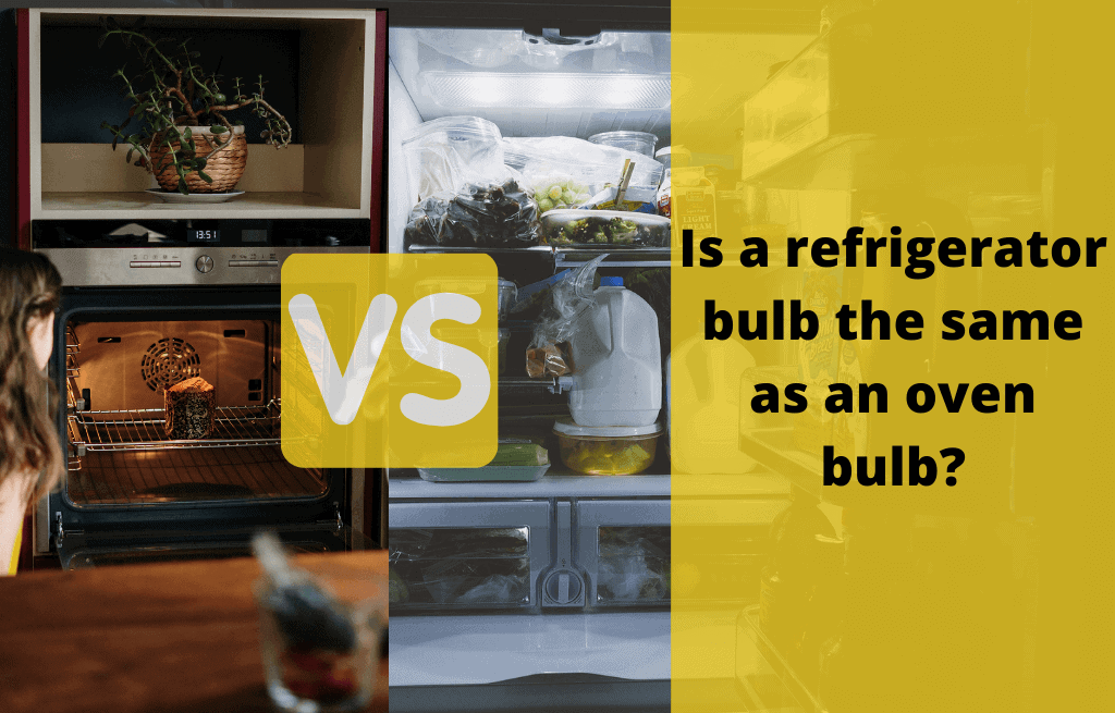 Can You Use A Regular Light Bulb In A Refrigerator vs