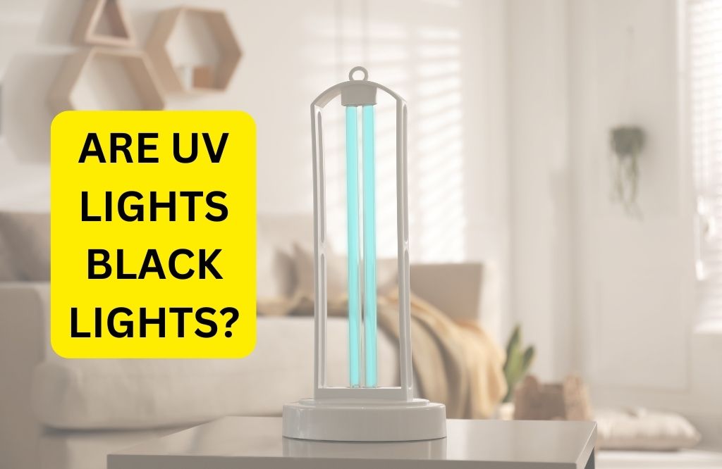 Are UV Lights Black Lights?